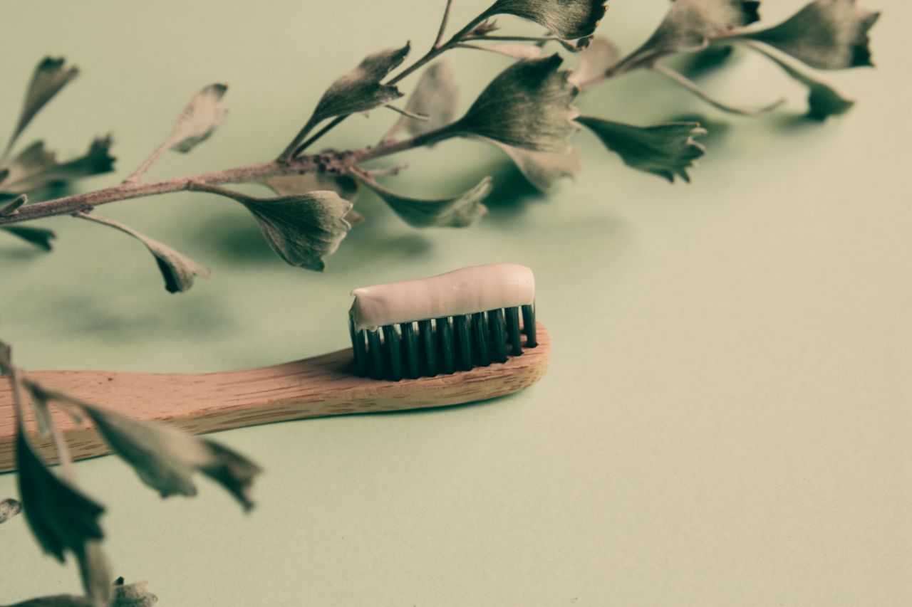 Wooden toothbrush with toothpaste and greenery on a pastel background, promoting sustainable dental care.